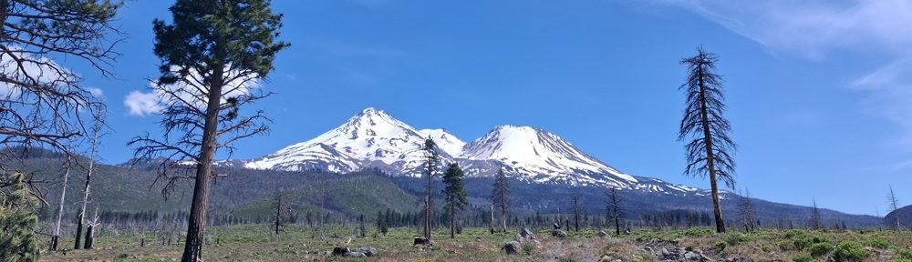 The Traveling Mountain Boy
